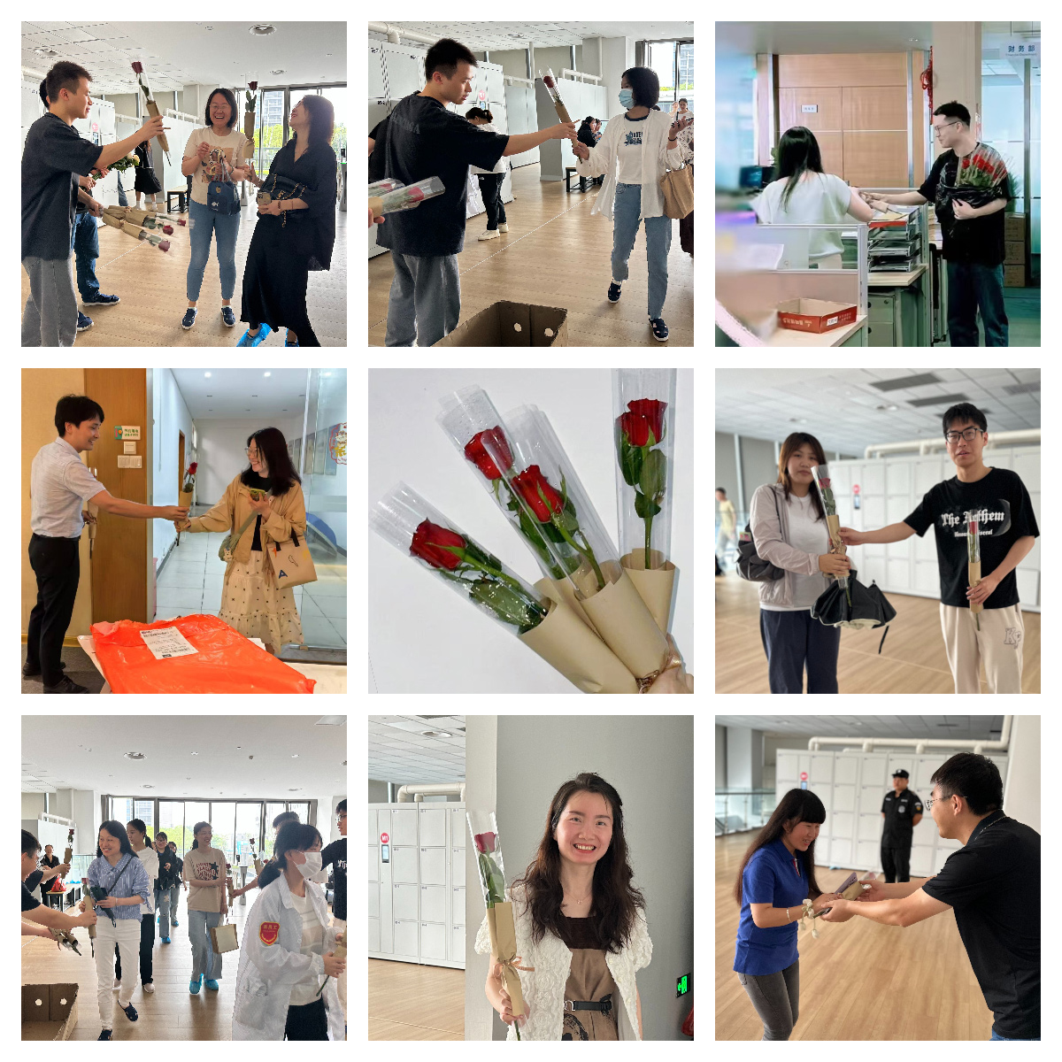 以玫瑰之名，致敬每一個(gè)發(fā)光的你(圖2)